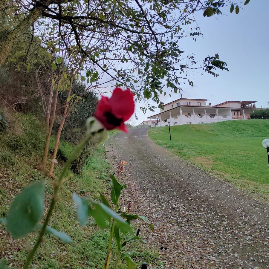 La Staccionata Bianca Bed & Breakfast Viterbo Luaran gambar